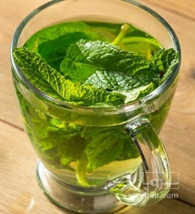 فروش عرق نعناع