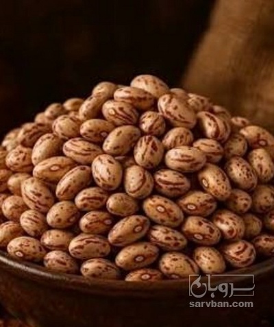 فروش لوبیا چیتی