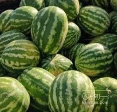 فروش هندوانه