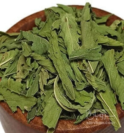 فروش نعناع خشک (گیاه‌ دارویی)