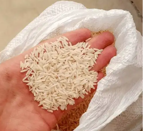 فروش برنج دم سیاه