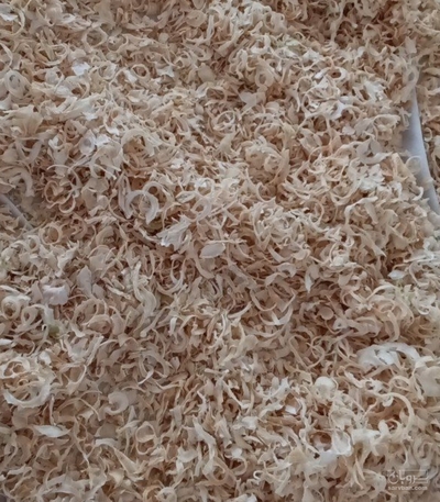 فروش پیاز خشک (گیاه‌ دارویی)