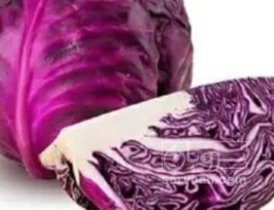 فروش کلم برگی بنفش