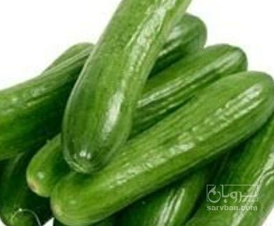 فروش خیار