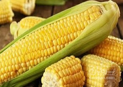 فروش ذرت