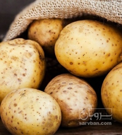 فروش سیب زمینی جلی