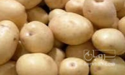 فروش سیب زمینی کلمبا