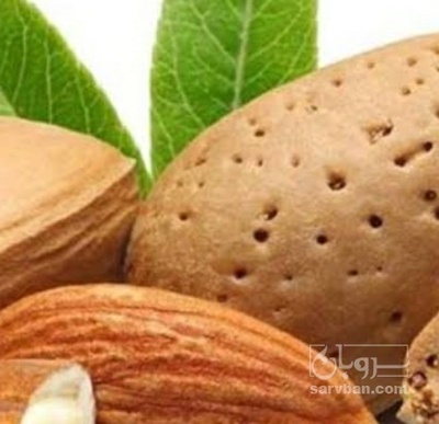 فروش بادام