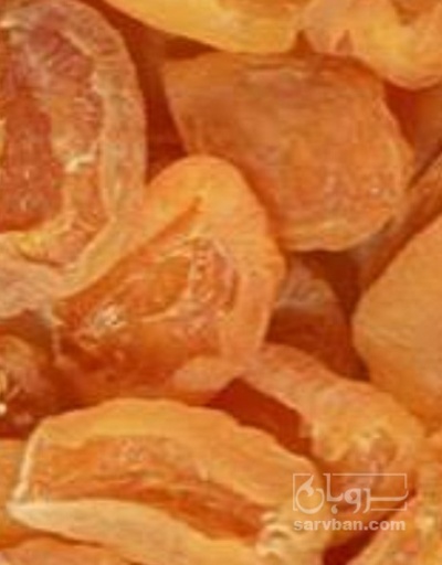 فروش برگه زردآلو