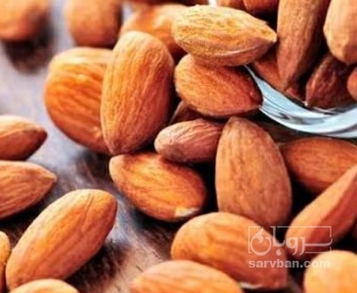 فروش مغز بادام