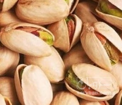 فروش  پسته