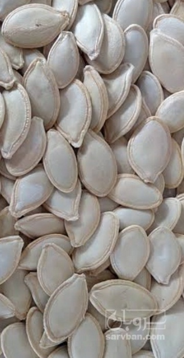 فروش تخمه  کدو بو داده