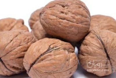فروش گردو