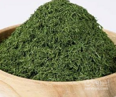 فروش شوید خشک (گیاه‌ دارویی)
