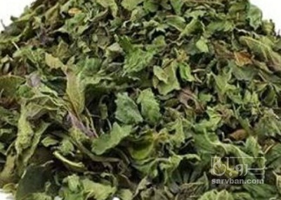 فروش بادرنجبویه خشک