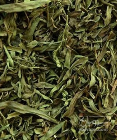فروش ترخون (گیاه‌ دارویی)