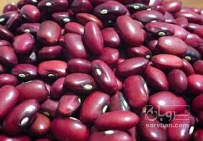 فروش لوبیا قرمز