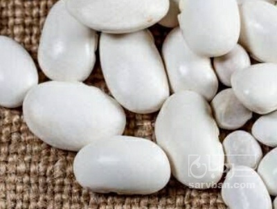 فروش لوبیا سفید