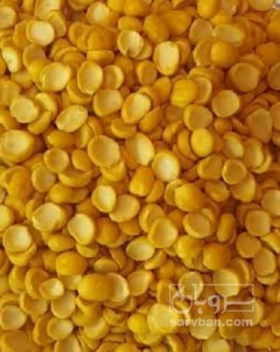 فروش نخود کفتری - لپه