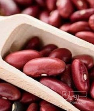 فروش لوبیا قرمز