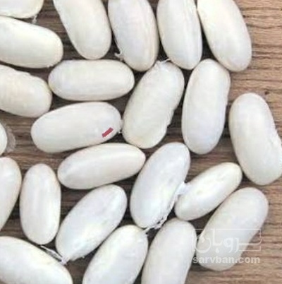 فروش لوبیا سفید
