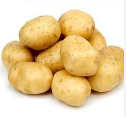 فروش سیب زمینی