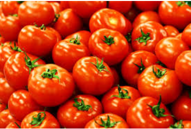 فروش گوجه فرنگی