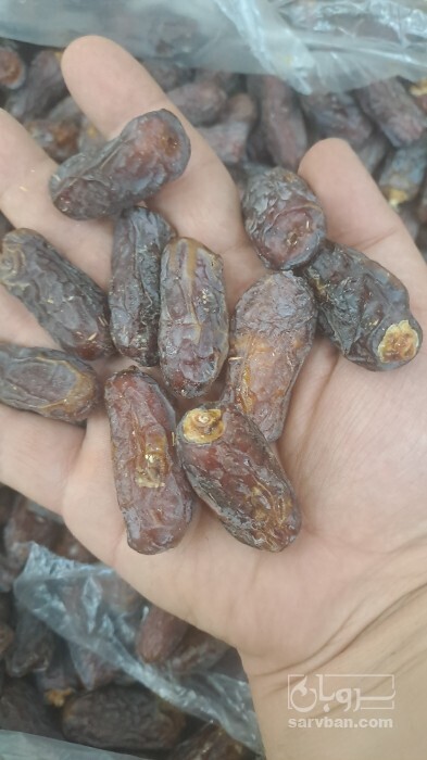 فروش خرما