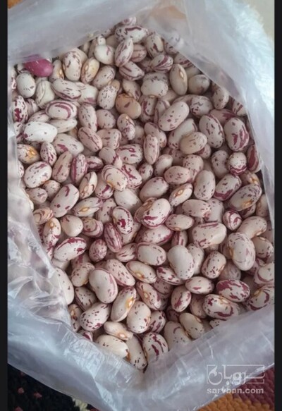 فروش لوبیا چیتی