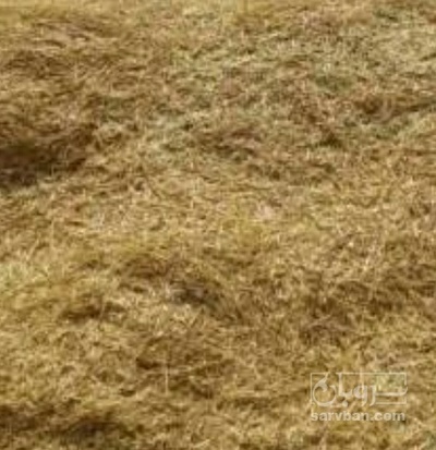 فروش کاه و کلش گندم