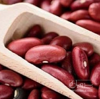 فروش لوبیا قرمز