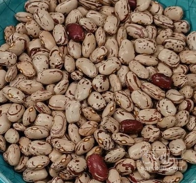 فروش لوبیا چیتی
