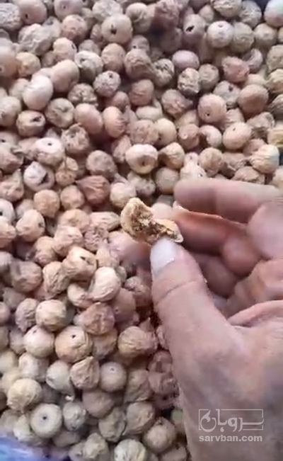 فروش انجیر خشک