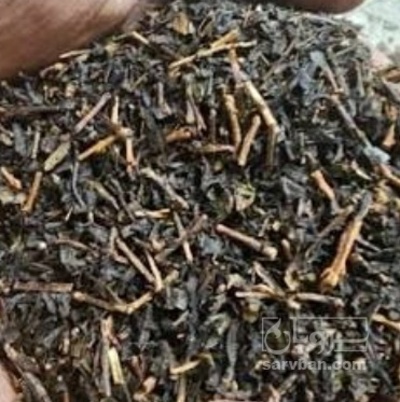 فروش چوب چایی