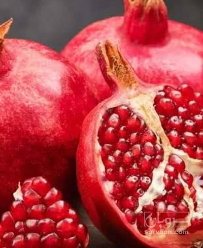 فروش انار