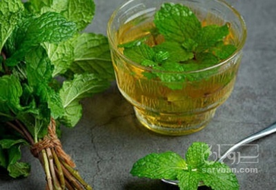 فروش عرق نعناع 2