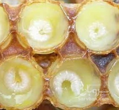 فروش ژل رویال