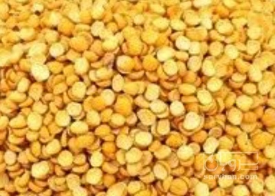 فروش نخود کفتری - لپه