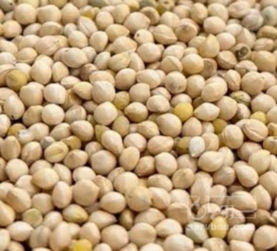 فروش ارزن