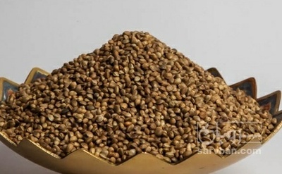 فروش شاهدانه (گیاه‌ دارویی)