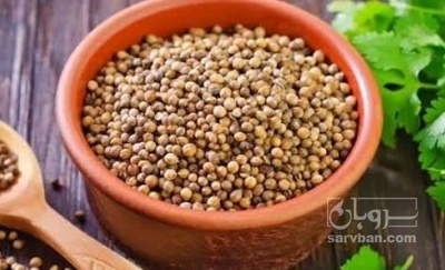 فروش تخم گشنیز (گیاه‌ دارویی)