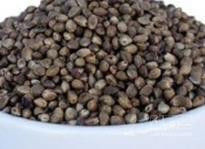 فروش شاهدانه (گیاه‌ دارویی)