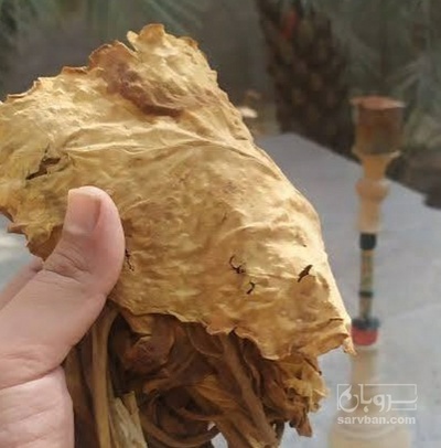 فروش تنباکو دو مزه (گیاه‌ دارویی)