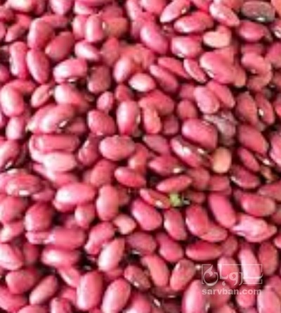فروش لوبیا قرمز