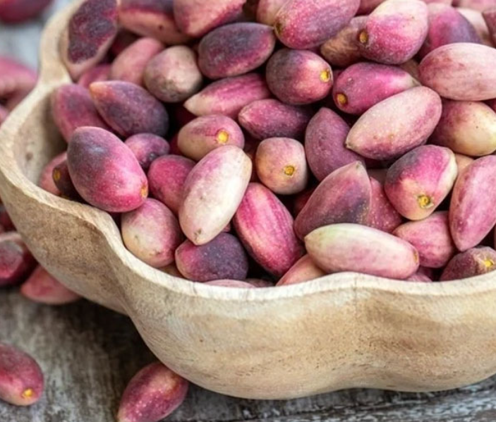 فروش پسته