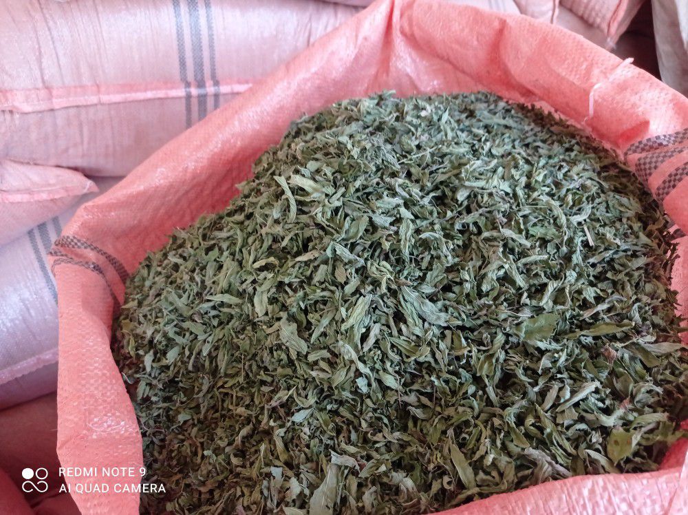 فروش نعناع خشک (گیاه‌ دارویی)