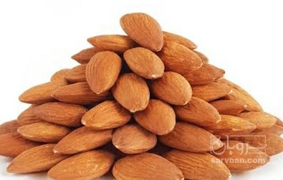 فروش  مغز بادام