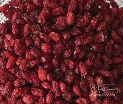 فروش زرشک