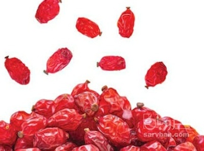فروش زرشک