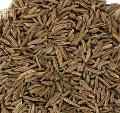 فروش زیره (گیاه‌ دارویی)